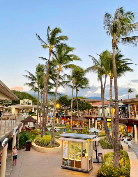 Rich Hawaii Aesthetic, Hawaii Shopping Mall, Hawaii Holiday Aesthetic, Tropical Town Aesthetic, Tropical City Aesthetic, Hawaii Neighborhood, Hawaii Market, Houses In Hawaii, Tropical Island Aesthetic