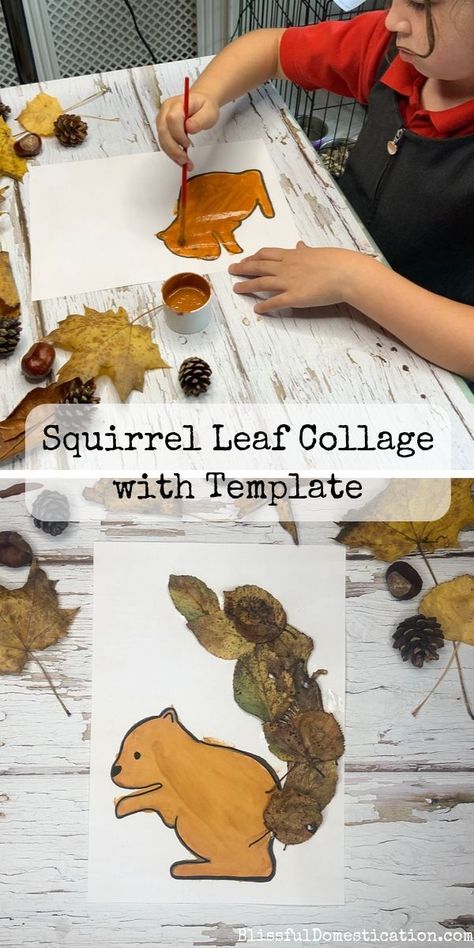 Leaf Collage, Squirrel Art, Leaf Animals, Tree Study, Free Hand Drawing, Animal Crafts For Kids, Leaf Crafts, Autumn Crafts, Classroom Crafts