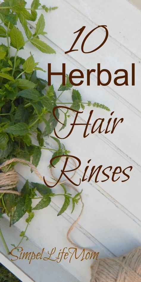 Chamomile Hair, Herbal Hair Rinse, Organic Hair Products, Organic Conditioner, Conditioner Recipe, Hair Recipes, Herbs For Hair, Shampoos And Conditioners, Homemade Hair