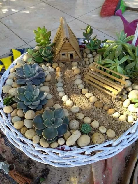 Miniature Zen Garden, Fairy Garden Pots, Fairy Garden Plants, Fairy Garden Furniture, Succulent Garden Design, Fairy Garden Designs, Fairy Garden Crafts, Succulent Garden Diy, Mini Fairy Garden