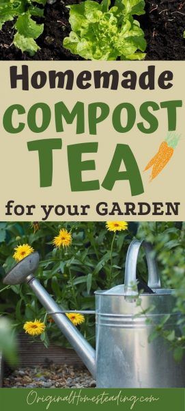 Tea Fertilizer, Chicken Manure Compost, Compost Tea Recipe, Compost Ideas, Homemade Compost, Australian Homestead, Vertical Hydroponics, Homestead Garden Layout, Gardening Table