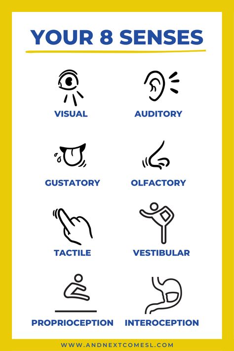 8 Sense, Sensory System, Sensory Diet, Sensory Overload, Fancy Words, Sensory Processing, Social Stories, Social Emotional Learning, Sensory Activities