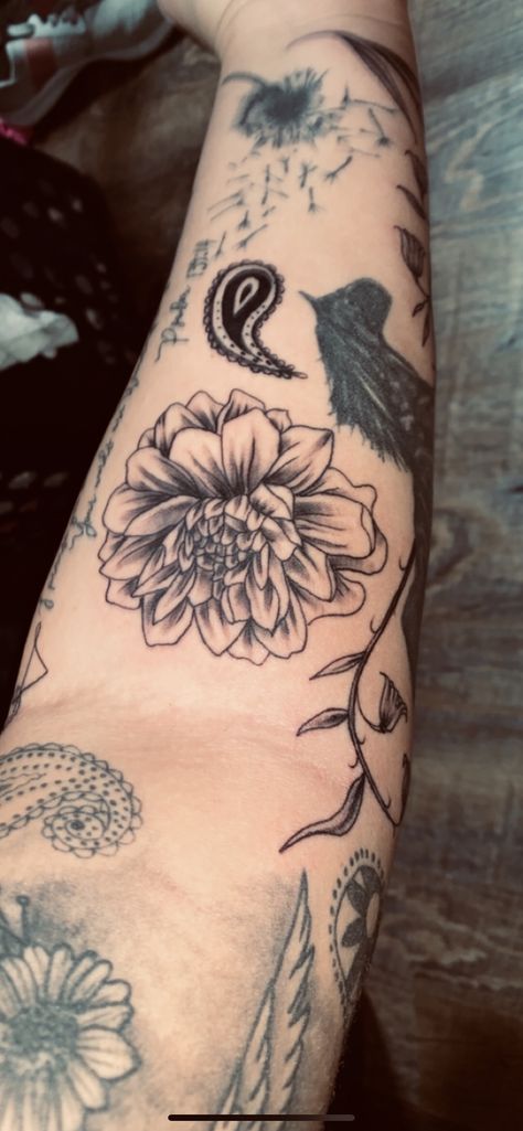 Dalia Flower Tattoo, Foral Tattoo, Dahlia Flower Tattoo, Dahlia Flower Tattoos, Dalia Flower, Dahlia Tattoo, Tattoo Aesthetic, Ink Inspiration, Foot Tattoo