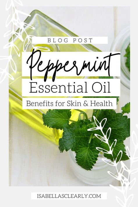 Peppermint Essential Oil has all sorts of benefits and a wide range of uses. Because of its healing properties, it is commonly used as an ingredient in skincare and beauty products. Benefits Of Peppermint Essential Oil, Pepermint Plant, Peppermint Oil For Skin, Peppermint Extract Recipes, Pepermint Oil, Peppermint Essential Oil Benefits, Peppermint Essential Oil Uses, Peppermint Oil Benefits, Peppermint Oil Uses