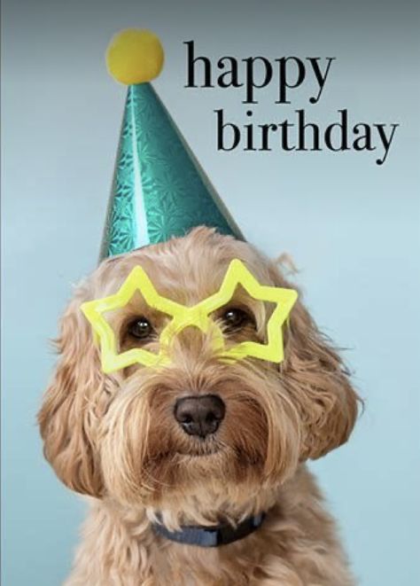 Animal Affirmations, Happy Birthday Animals Funny, Happy Birthday Puppy, Happy Birthday Animals, Birthday Animals, Happy Birthday Illustration, Snoopy Birthday, Happy Birthday Kids, Birthday Greetings Friend