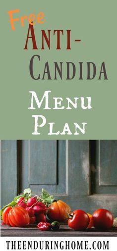 Finally!  Ideas for Anti-Candida meals - so need this resource! Candida Cleanse Recipes, Anti Candida Recipes, Candida Cleanse Diet, Yeast Free Diet, Anti Candida Diet, Detox Meal Plan, Candida Recipes, Candida Diet Recipes, Candida Cleanse