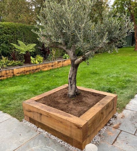 Sleeper Garden Beds, Garden With Sleepers, Sleepers Garden Ideas Raised Beds, Raised Garden Beds Around Tree, Sleeper Garden Edging, Raised Garden Bed Around Tree, Garden Sleepers Ideas, Raised Garden Bed Edging Ideas, Sleeper Flower Beds