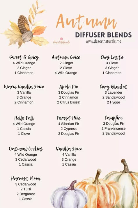 Fall Essential Oil Diffuser Blends, Fall Essential Oil Blends, Essential Oil Roller Bottle Recipes, Make Your Home Smell Amazing, Essential Oil Perfumes Recipes, Fall Essential Oils, Fall Diffuser Blends, Essential Oil Reed Diffuser, Essential Oil Diffuser Blends Recipes