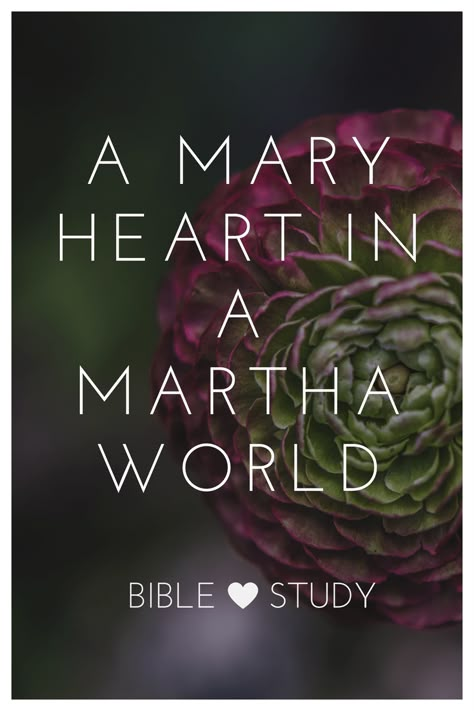 Mary And Martha Bible, Mary Heart, Ladies Bible Study, Hole In My Heart, Christian Women's Ministry, Women In The Bible, Womens Bible, Study Topics, Women Of The Bible