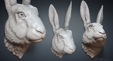 Hare (Rabbit) head 3D model for 3d printing. Digital Sculpting by Voronart Rabbit Anatomy, Cnc Carving, Hare Rabbit, Rabbit Sculpture, Rabbit Head, Digital Sculpting, Digital Sculpture, Bunny Head, Head Sculpture