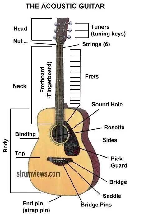 Basic Chords Guitar, Guitar Classes, Basic Guitar Lessons, Guitar Learning, Music Theory Guitar, Beginner Guitar, Guitar Lessons For Beginners, Guitar Chord Chart, Learning Guitar