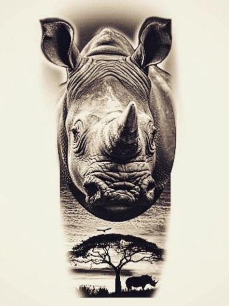 Rhino Tattoo Ideas, Rhino Tattoos, Rhinoceros Tattoo, John Tattoo, Zebra Tattoo, Zebra Tattoos, Rhino Tattoo, Dna Tattoo, Chicano Drawings