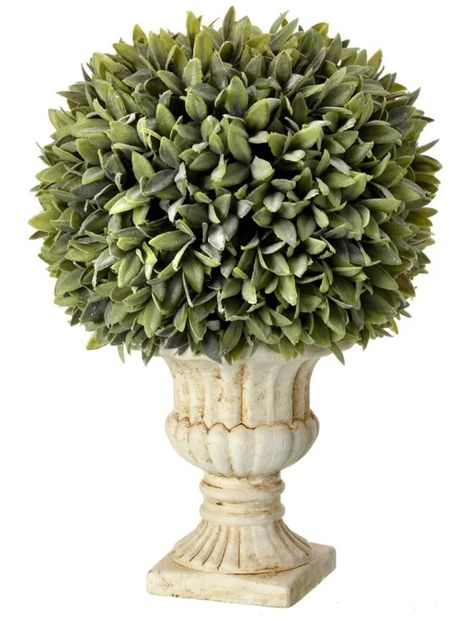 Preserved Boxwood Topiary, Table Top Tree, Ball Topiary, Urn Arrangements, Preserved Boxwood, Artificial Topiary, Boxwood Topiary, Ceramic Urn, Urn Planters