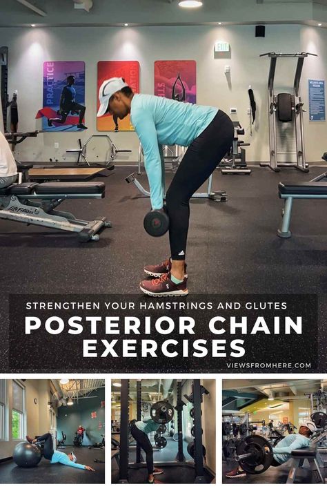 Posterior Leg Workout, Posterior Chain Workout, Posterior Chain Exercises, Hamstring Exercises, Hamstrings And Glutes, Better Posture Exercises, Single Leg Glute Bridge, Stiff Leg Deadlift, Posterior Chain