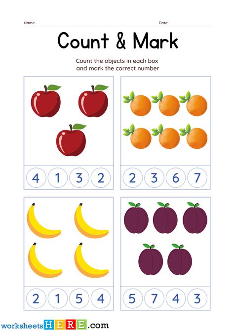 Count the Fruits and Mark the Correct Number PDF Worksheet For Kindergarten - WorksheetsHere.com Rote Counting, Worksheet For Kindergarten, The Teacher, Kindergarten Worksheets, Kindergarten, Preschool, Pre School