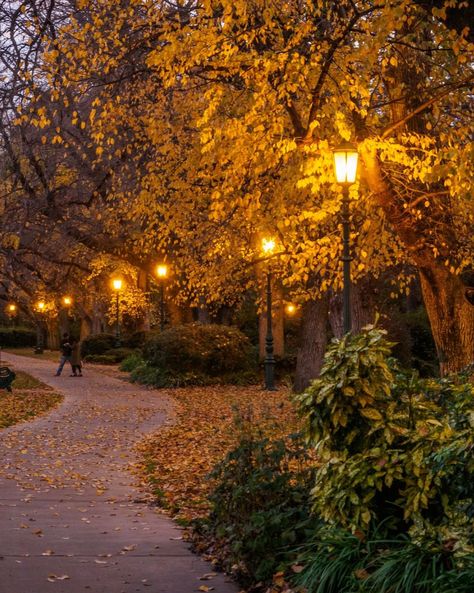 Brimming with history and heritage, take a waltz down any of the charming streets of Bendigo this autumn and you'll fall in love with this regional city. Autumn Walk Aesthetic, Fall At Night, Park In Autumn, Fall Landscapes, Fall Walk, Autumn Luxury, Park Aesthetic, Crunchy Leaves, Autumn Walk