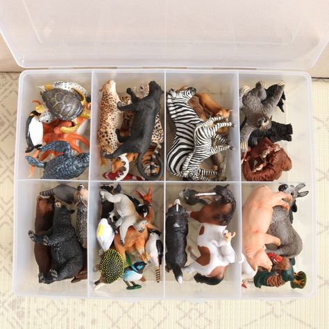 Animal Toy Storage Ideas | MiniZoo Blog - MiniZoo Schleich Storage Ideas, Dinosaur Puppet, Animal Figurine Toys, Toy Storage Ideas, Kids Organization, Toy Animals, Australia Animals, Fantasy Figurine, Live Animals