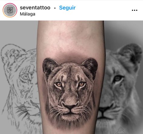 Lion And Lioness Tattoo, Lioness Tattoo Design, Female Lion Tattoo, Leo Tattoo Designs, Lioness Tattoo, Female Lion, Lion Head Tattoos, Couple Tattoos Unique, Flame Tattoos