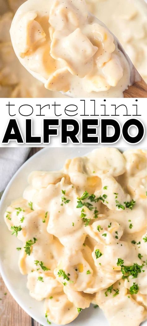 Cajun Tortellini Alfredo, Low Carb Tortellini, Bertolli Alfredo Recipes, Alfredo Tortellini Recipes, Tortellini Alfredo Recipes, Tortellini Dishes, Shrimp Tortellini Alfredo, Frozen Ravioli Recipes, Chicken Tortellini Alfredo