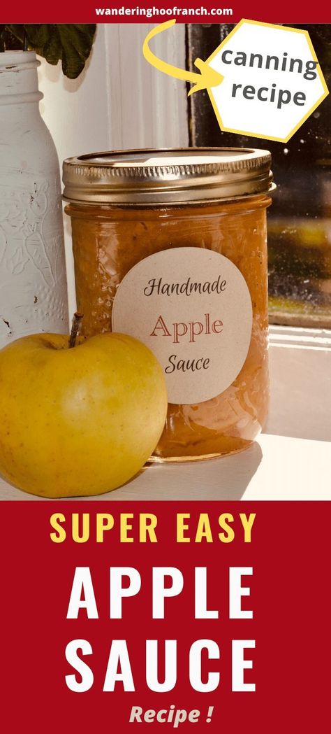 Apple Sauce Canning, Applesauce Recipes Canning, Easy Apple Sauce, Homestead Canning, Canning Apple Pie Filling, Homemade Apple Sauce, Roaster Recipes, Canning Applesauce, Canned Applesauce