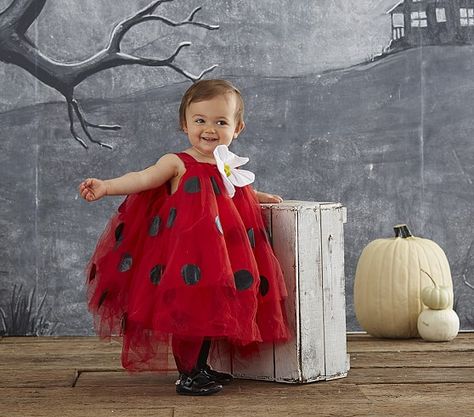 Sparkles and Lattes: Toddler Halloween Costume Ideas Baby Halloween Costumes Girl, Baby Ladybug Costume, Cat Tail Costume, Halloween Costumes Girl, Ladybug Tutu, Owl Costume, Ladybug Costume, Baby Ladybug, Ladybug Birthday