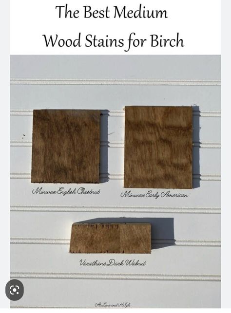 Birch Wood Stain, Stain Plywood, Best Wood Stain, Mountain Project, I Have Your Back, Upcycled Furniture Diy, Diy Projects To Sell, Wood Stains, Wood Stain Colors