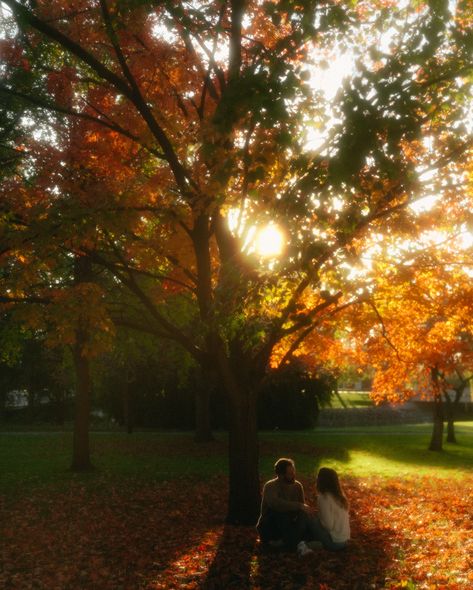 when Reilly met Carolyn 🍂 🏷️] movie scenes, romcom, visual poetry, cinematic, couples photos, engagement photos, love, #michiganphotographer storytelling, filmy, 35mm,#travelphotographer, fall in love, documentary photography, #authenticlovemag, destination photographer, couples, couple, authentic, autumn, fall, coming of age romance, when Harry met sally Fall Cinematography, Autumn Love Couple, Cinematic Romance, Autumn Romance, When Harry Met Sally, Leaves Fall, Visual Poetry, Cinematic Photography, Couples Photos