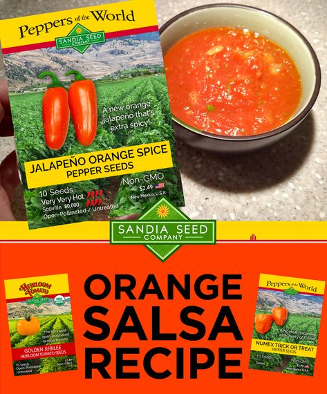 If you grow our Orange Jalapeño seeds or any of our other orange hot peppers, then you gotta try this Orange Salsa recipe. Grow some of our Orange Heirloom Tomatoes Seeds such as our Big Rainbow Tomato, or the Chef's Choice Orange Tomato, or the delicious Garden Peach Tomato... and you'll have a brilliant orange salsa that is sure to be the talk of the party. Orange Salsa, Rainbow Tomatoes, Hot Pepper Recipes, Heirloom Tomato Seeds, Hot Sauce Recipes, Orange Peppers, Hot Peppers, Heirloom Tomato, Pepper Seeds