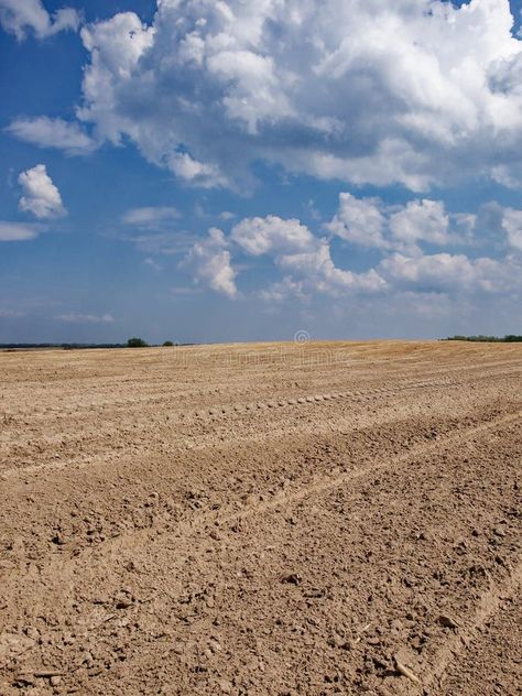 Ploughed agricultural land ready for sowing, sky above royalty free stock images Agriculture Land, Agricultural Land, Vector Design, Planting, Stock Images Free, Royalty, Royalty Free, Stock Images, Plants