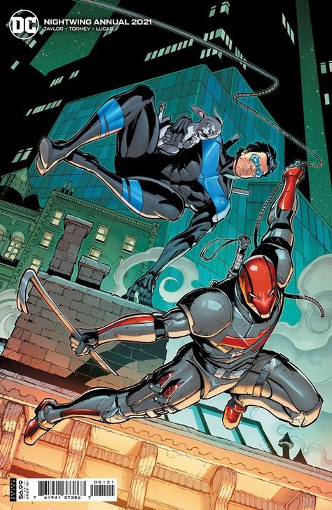 Nightwing And Red Hood, Nightwing And Batgirl, Arte Nerd, Univers Dc, Arte Dc Comics, Batman Universe, Dc Comics Artwork, Im Batman, Batman Family