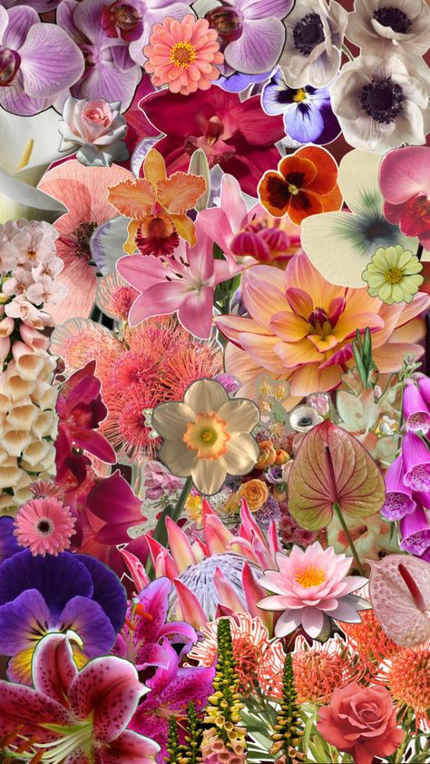 Flowers Collage Aesthetic, Flowers For Collage, Flower Mood Board, Floral Mood Board, Flowers Moodboard, Collage Flowers, Flower Journal, Floral Collage, Laptop Wallpapers