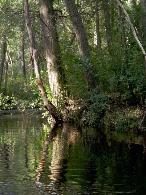 Cedar Creek, Bayville, NJ Cedar Creek, Learning Strategies, Canoe And Kayak, Finding New Friends, Dream Homes, Kayaking, Portugal, Camping, Kayaks