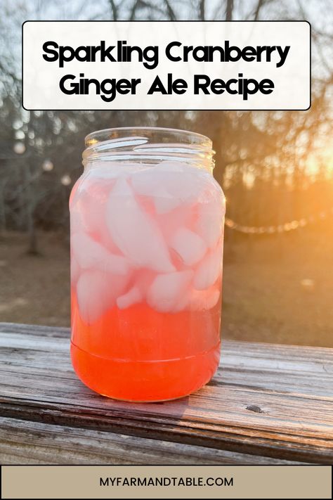 Refresh your taste buds with our Sparkling Cranberry Ginger Ale Recipe! This fizzy and flavorful drink combines the tangy taste of cranberries with the spicy kick of ginger, making it perfect for any occasion. Easy to make and naturally sweetened, this homemade soda is a delightful twist on a classic favorite. Visit our blog for the full recipe and step-by-step instructions to create this bubbly treat today! Cranberry Ginger Ale, Ginger Ale Recipe, Cranberry Simple Syrup, Homemade Ginger Ale, Ale Recipe, Ginger Fizz, Winter Foods, Homemade Soda, Ginger Water