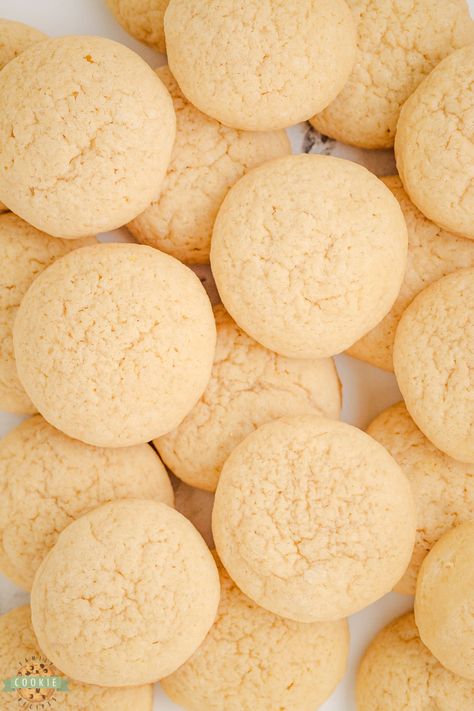 Copycat Vanilla Wafer Cookies Nila Wafer Recipes, Vanilla Treats, Food Copycat Recipes, Vanilla Wafer Cookies, Vanilla Wafer, Nilla Wafers, Peanut Butter Cheesecake, Wafer Cookies, Brownies Cookies