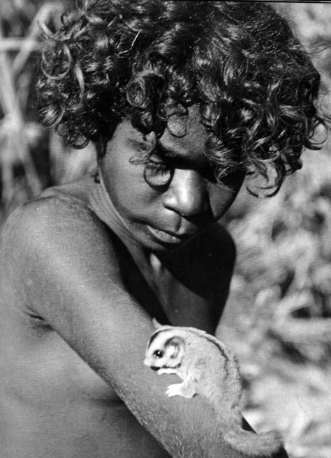 A young lubra - Nalilli with sugar glider - photo taken by Charles P. Mountford on an anthropological expedition to Central Australia in the 1950's. Aboriginal People Indigenous Australia, Indigenous Australia, Aboriginal Dreamtime, Van Diemen's Land, Aboriginal Art Symbols, Australian Aboriginals, Central Australia, Australian People, Aboriginal History