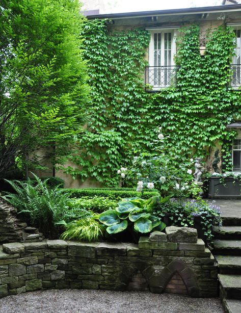 Old World Garden, Boston Ivy, Sunken Gardens, Stone Garden Paths, Trees Beautiful, Plant Texture, Virginia Creeper, Sunken Garden, Three Dogs