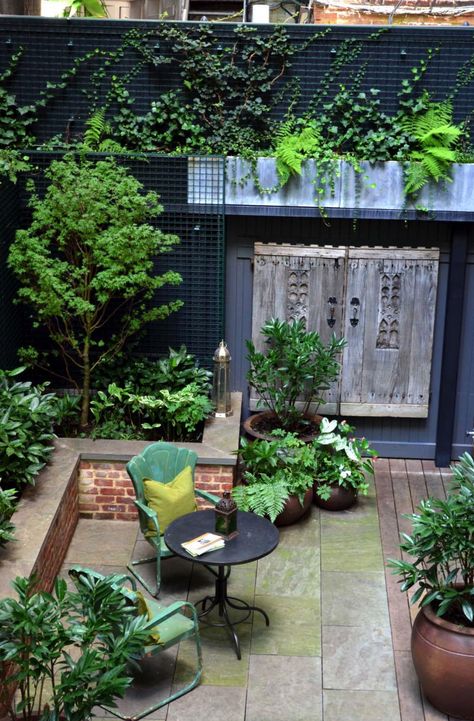 16 Insanely Beautiful Courtyard Garden Ideas With A Wow Factor #outdoors #outdoorliving #courtyard #garden #dining Iron Pergola, Modern Courtyard, Privacy Fence Designs, Small Courtyard Gardens, Contemporary Patio, Small Courtyards, Evergreen Plants, Patio Interior, Brick Patios