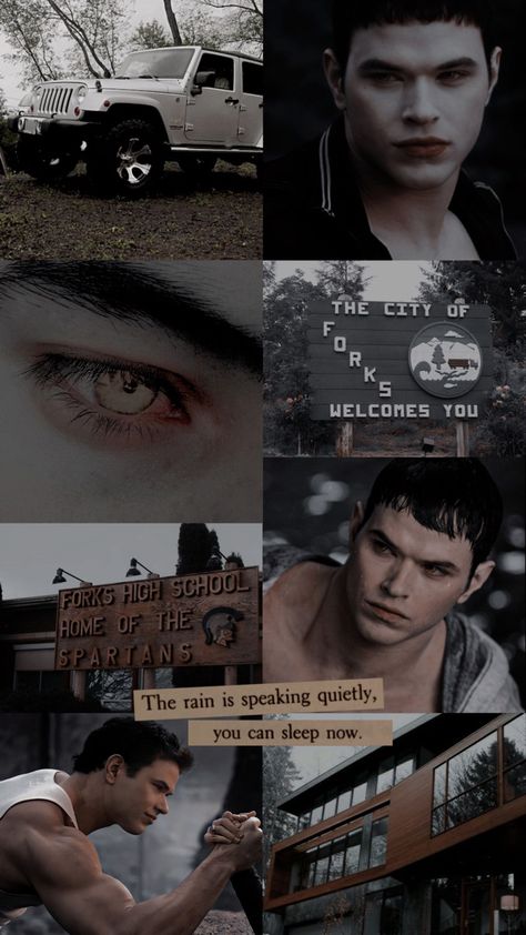 Edward Cullen Wallpaper Aesthetic, Twlight Eclipse Aesthetic, Twighlight Aesthetic Wallpaper, Breaking Dawn Aesthetic, Emmett Cullen Aesthetic, Twilight Wallpaper Aesthetic, Edward Cullen Wallpaper, Twilight Emmett, Emmett Twilight