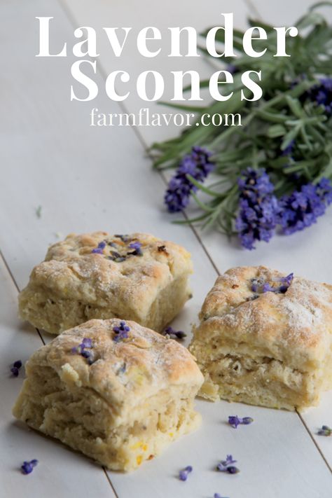 Fresh lavender flowers are an unexpected ingredient in this scone recipe. Lavender Biscuits Recipe, Edible Lavender Recipes, Fresh Lavender Recipes, Lavender Scones Recipe, Cooking With Lavender, Lavender Dessert, European Desserts, Lavender Scones, Recipes Only