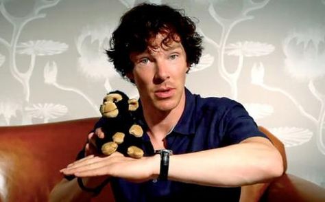 The Really Important Retrospective: The Best Benedict Cumberbatch Videos of 2013 Sherlock Comic, Sherlock Holmes Stories, Sherlock Series, Benedict And Martin, Mrs Hudson, Sherlock 3, 221b Baker Street, San Diego Comic Con, Johnlock