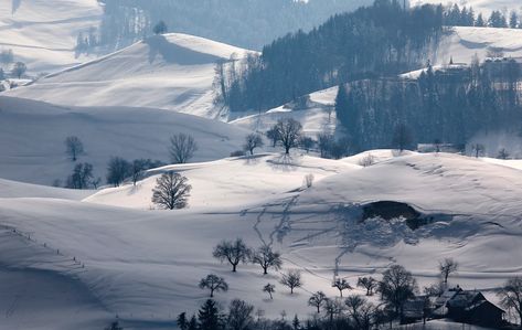 snowy field during daytime photo – Free Image on Unsplash Snow Elves, Snow Elf, Landscape Study, Snowy Field, Christmas Romance, Snow Forest, Story Setting, Love Winter, The Meadows