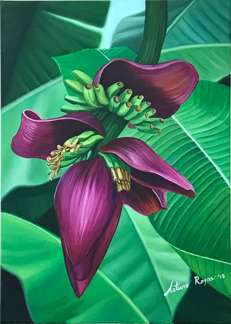 Banana Plant Illustration, Banana Farm, Fleurs Art Nouveau, Farm Landscape, Tropical Painting, Banana Flower, Foto Transfer, Hawaiian Art, Banana Tree