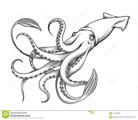 Giant Squid Drawing, Marian Tattoo, Arte Trash Polka, Squid Drawing, Squid Tattoo, Engraving Tattoo, Octopus Tattoo Design, Creature Fantasy, Octopus Tattoos