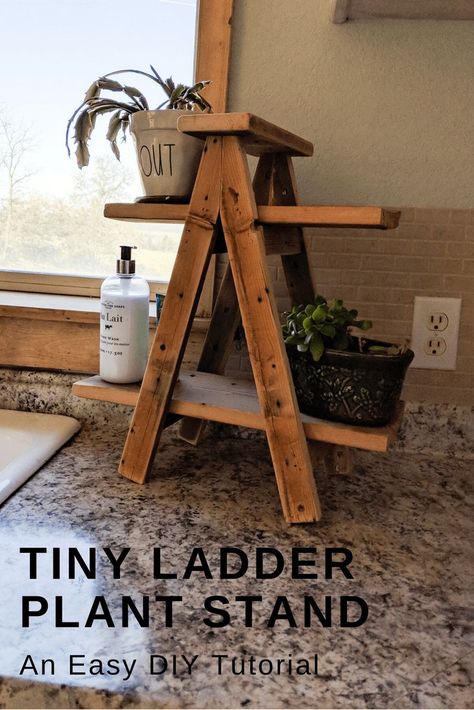 Small ladder plant stand diy tutorial. This easy diy ladder plant stand tutorial is simple and great for anyone with wood scraps to use up. #farmhousedecor #farmhousestyle #ladderdecor #plants #kitchenorganization Diy Ladder Plant Stand, Plant Stand Diy, Drill Bit Sharpening, Ladder Plant Stand, Small Ladder, Diy Home Decor For Apartments, Diy Ladder, Wood Projects For Beginners, Wood Crafting Tools