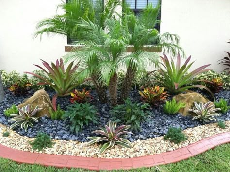 Simple Florida Landscaping Front Yard, Succulent Landscaping Front Yard, Front Yard Rock Garden, Drought Tolerant Landscape Front Yard, Xeriscape Front Yard, Tropical Backyard Landscaping, Landscape Ideas Front Yard Curb Appeal, Succulent Garden Landscape, Florida Landscaping