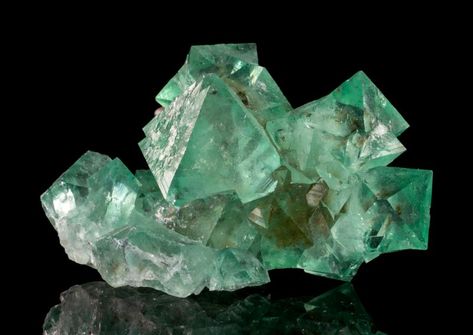 Crystal Reference, Crystal Seashells, Very Aesthetic, Minerals Crystals Rocks, Northern Cape, Orange Crystals, Green Fluorite, Cool Rocks, Small Cabinet