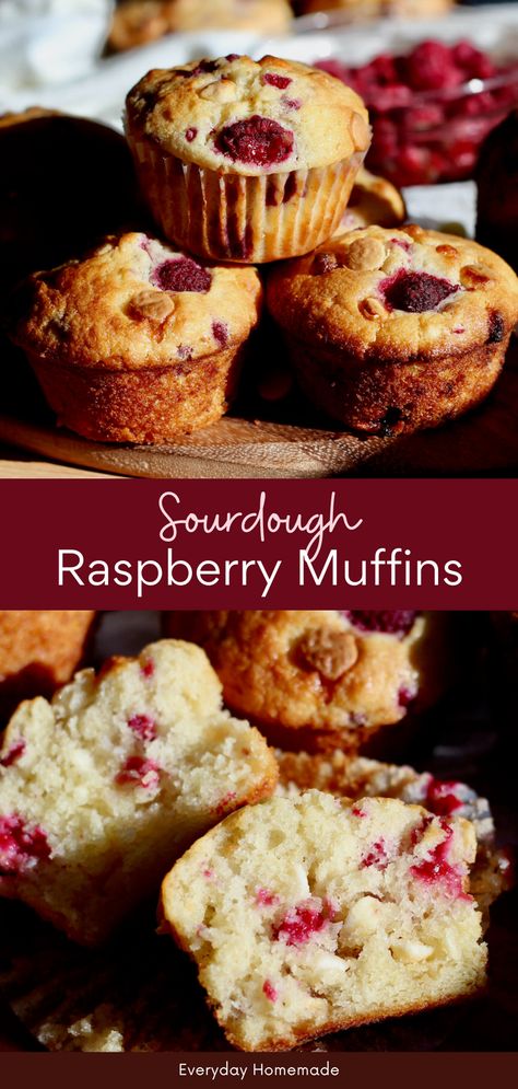 These Sourdough Raspberry Muffins are a quick and easy recipe made with sourdough starter discard. Perfect for breakfast, brunch, or a snack, these soft and tender berry muffins are packed with fresh or frozen raspberries and white chocolate chips. Ready the same day, they’re a delicious way to enjoy sourdough baking and add a sweet twist to your sourdough discard recipes! Desserts With Sourdough Starter, Raspberry Sourdough Muffins, Berry Sourdough Bread, Sourdough Discard Raspberry Muffins, Sourdough Discard Cranberry Orange Muffins, One Day Sourdough Recipes, Sourdough Starter Muffins, How To Use Sourdough Starter, Sourdough Discard Scones Recipes