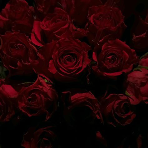 Red Poster Aesthetic, Red Color Aesthetic, Vermelho Aesthetic, Red Widget, Red Core, Red Poster, Red Aesthetic Grunge, Aesthetic Rose, Dark Red Roses