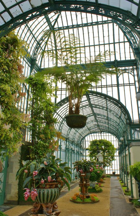 Indoor Garden Rooms, Conservatory Greenhouse, Museum Design, Old Mansion, Stately Homes, Garden Greenhouse, Miscellaneous Items, Garden Rooms, Kew Gardens