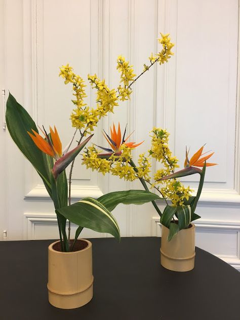 Evrim's Ikebana Journey: Dialogue, Aspidistra, strelitzia, forsythia Double bamboo containers Bamboo Containers, Sogetsu Ikebana, Ikebana Flower, Asparagus Fern, Ikebana Flower Arrangement, Geneva Switzerland, Free Style, Ikebana, Geneva